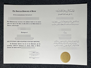 AUB diploma copy