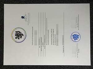 BUW diploma copy