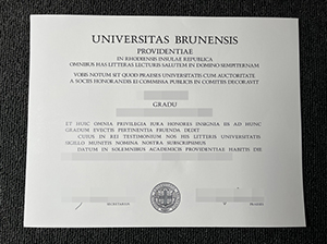 Brown University diploma copy