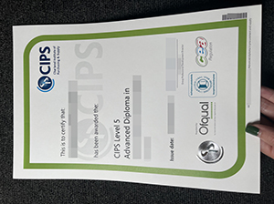 CIPS certificate copy