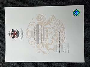 De Montfort University diploma copy