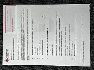 De Montfort University transcript copy