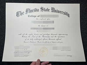 FSU diploma copy