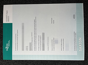 Hogeschool Saxion diploma copy