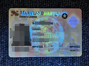 Maryland ID copy