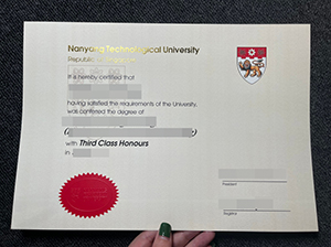 NTU diploma copy