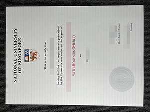 NUS diploma copy