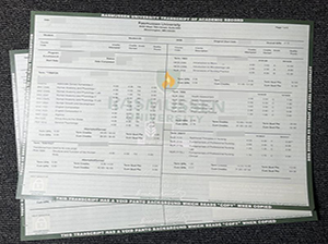 Rasmussen University transcript copy