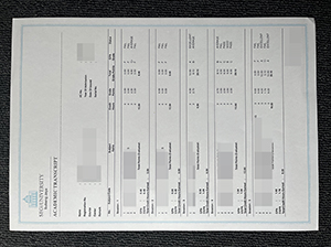 SEGi University transcript copy