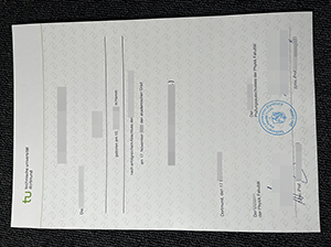 TU Dortmund diploma copy