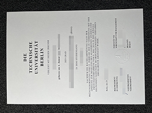 TUB diploma copy