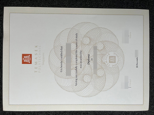 Temasek Polytechnic diploma copy