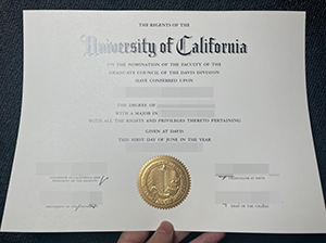 UC Davis degree copy