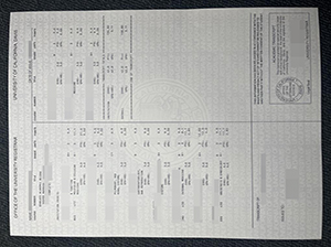 UC Davis transcript copy