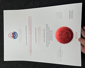 UFS diploma copy