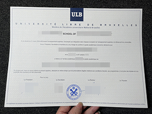 ULB diploma copy