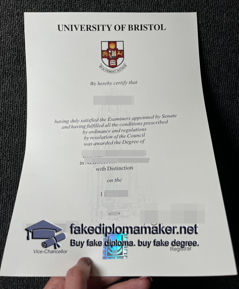 University of Bristol degree