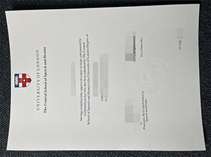 CSSD degree copy