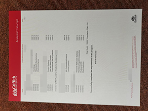 Griffith University transcript copy