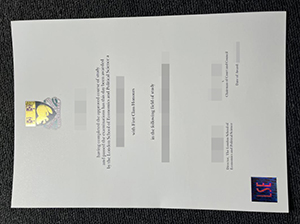 LSE degree certificate copy