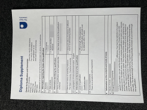 Open University diploma supplement copy