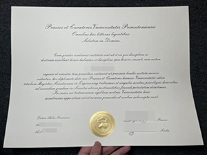 Princeton University diploma copy