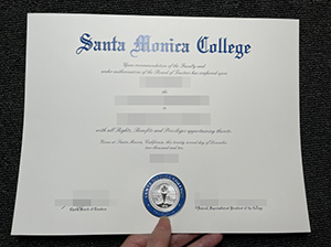 SMC degree copy