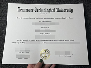 TTU degree copy