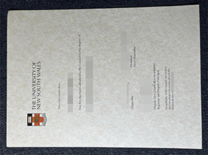 UNSW degree copy