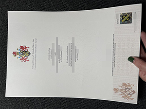 UWTSD diploma copy