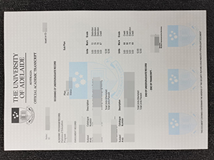 University of Adelaide transcript copy