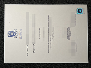 University of Liverpool degree copy