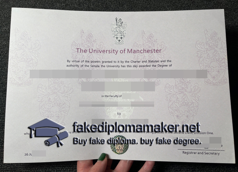 University of Manchester degree