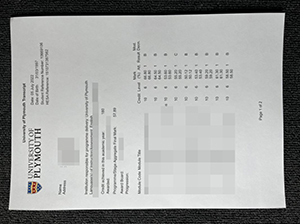 University of Plymouth transcript copy