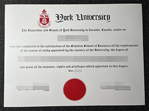 York University degree copy