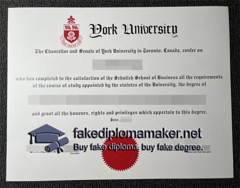 York University degree