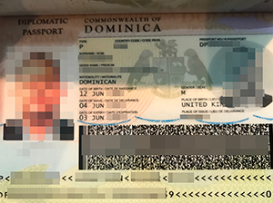 Dominican passport copy