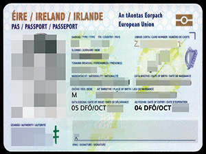 Irish passport copy