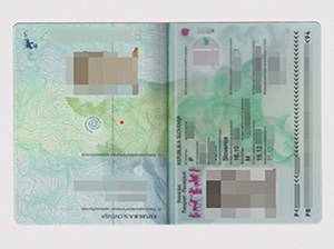 Slovenian passport copy