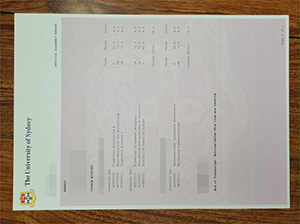 USYD transcript copy