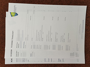 Central Queensland University transcript copy