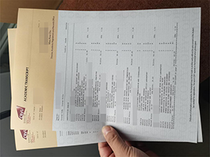 City University of Hong Kong transcript copy