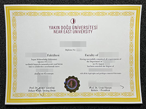 NEU diploma copy