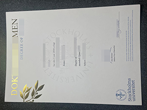 Stockholm University degree copy