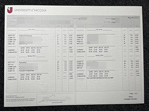 University Of NICOSIA transcript copy