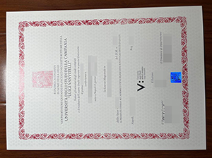 Vanvitelli University degree copy