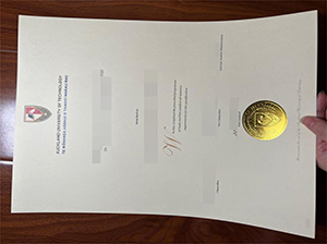 AUT diploma copy