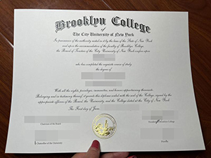 Brooklyn College diploma copy