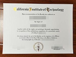 CIT degree copy