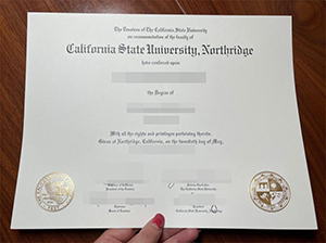 CSUN diploma copy